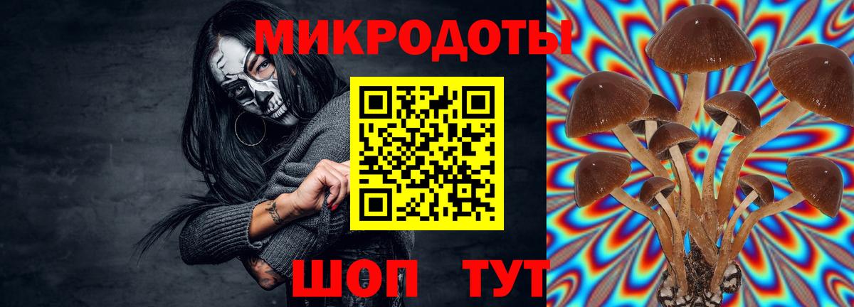 Ростов-на-Дону  где продают   Вход с VPN  Галлюциногенные грибы Cubensis 